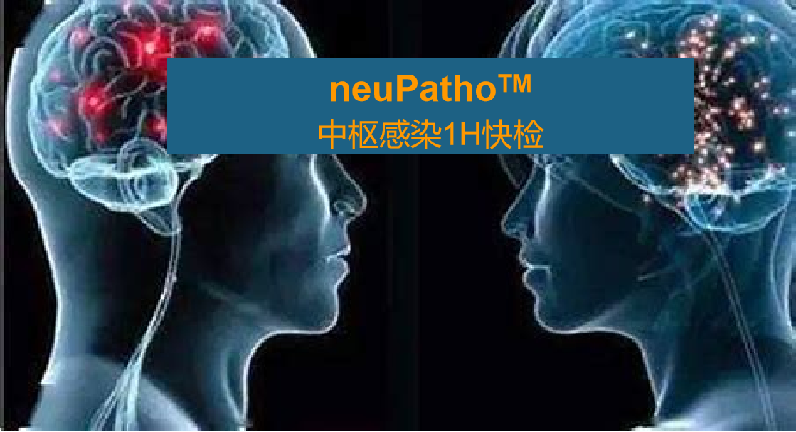 neuPatho，中(zhōng)樞感染病原譜