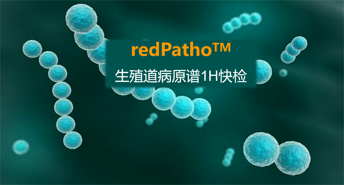 redPatho，生(shēng)殖道感染病原譜